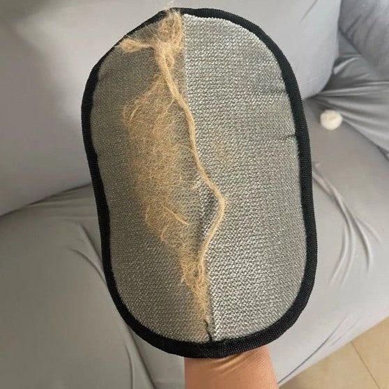 Loved by Pet Owners