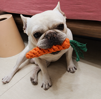Carrot Plushie