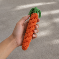 Carrot Plushie