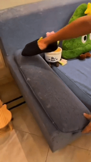 Pet Hair Remover Glove